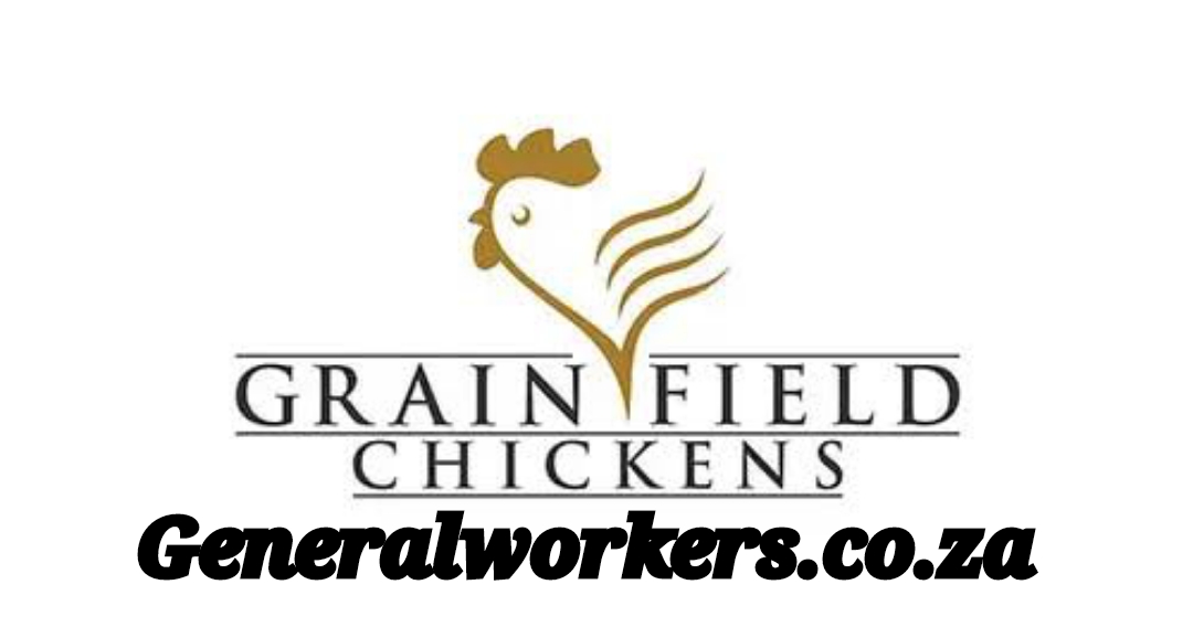 Polish 20231212 214443502