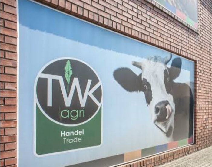 Screenshot 20241217 222712 Google